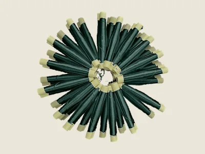 صابرة كحلي (3)