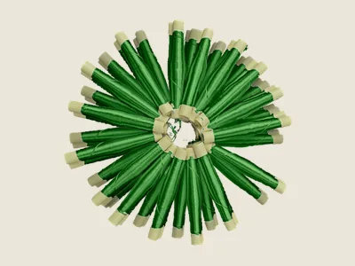 صابرة أخضر