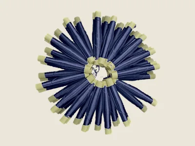 صابرة كحلي شاعل