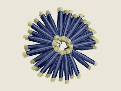 صابرة كحلي شاعل (2)