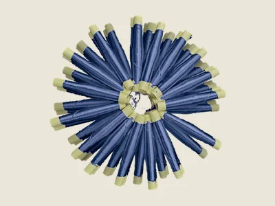صابرة أزرق مغلوق