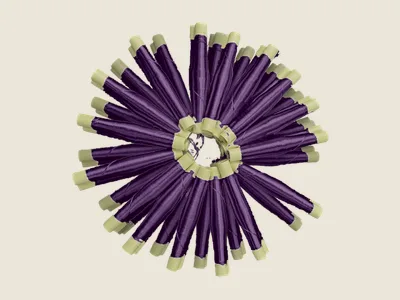 صابرة موف مغلوق