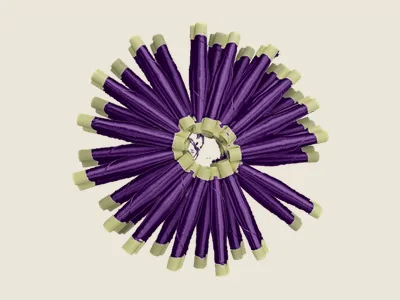 صابرة موف
