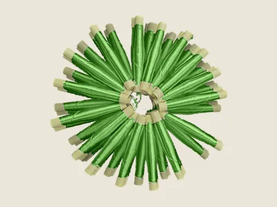 صابرة أخضر شاعل (2)