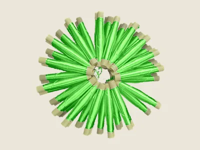 صابرة أخضر شاعل (4)