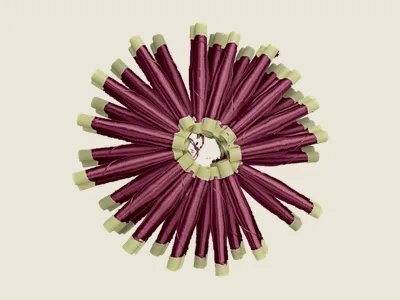 صابرة كرونة (2)
