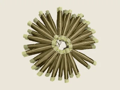 صابرة قهوي (7)