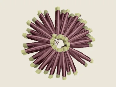 صابرة كرونة طافي