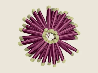صابرة كرونة مموّف