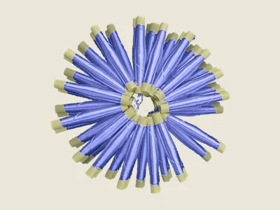 صابرة موف مزرق