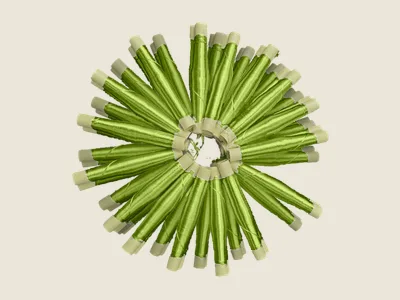 صابرة أخضر شاعل
