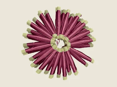 صابرة كرونة (4)