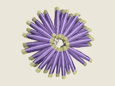 صابرة موف (3)
