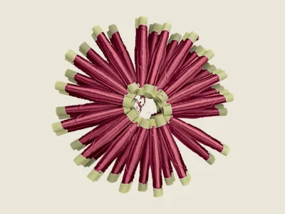 صابرة كرونة (7)