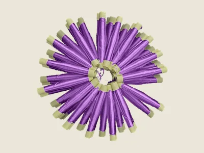 صابرة موف شاعل (2)