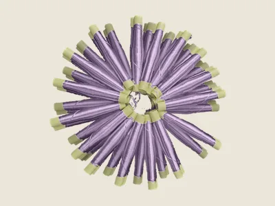 صابرة موف كاشف