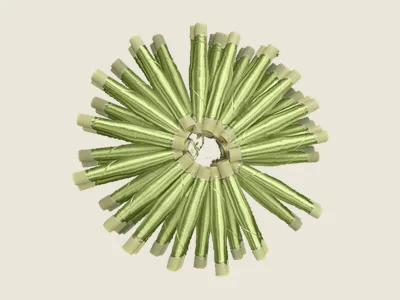 صابرة أخضر (2)