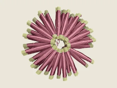 صابرة كرونة كاشف (2)