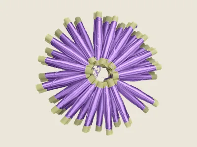 صابرة موف شاعل (3)