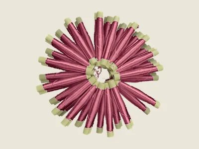 صابرة كرونة (5)