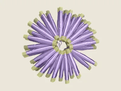 صابرة موف (2)