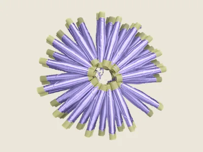 صابرة موف مزرق كاشف