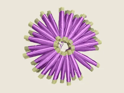 صابرة موف شاعل