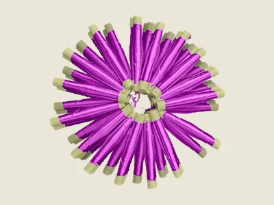 صابرة غوز