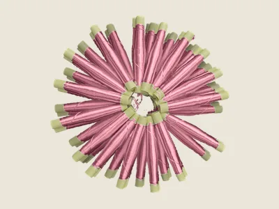 صابرة كرونة مفتوح