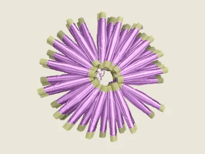 صابرة موف كاشف (3)