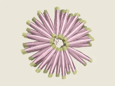 صابرة غوز طافي