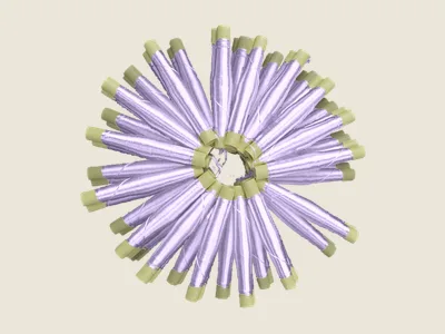 صابرة موف مفتوح (2)