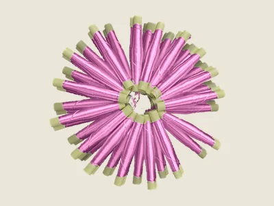 صابرة غوز (5)