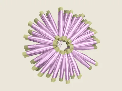 صابرة موف كاشف (2)