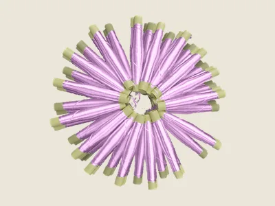 صابرة غوز محمر