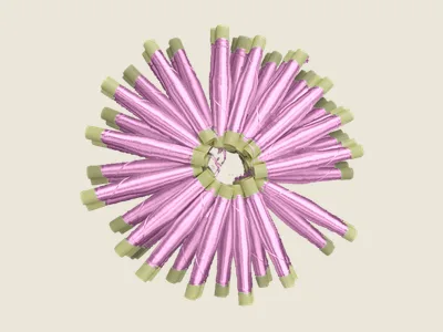صابرة غوز (4)