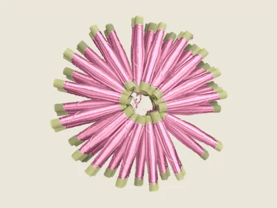 صابرة غوز (3)