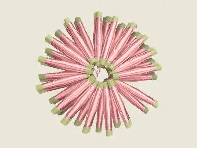 صابرة كوغاي