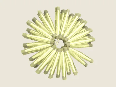 صابرة اصفر