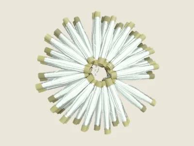 صابرة أبيض (6)