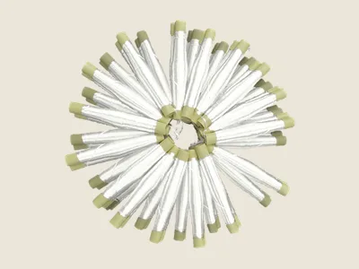 صابرة أبيض (4)