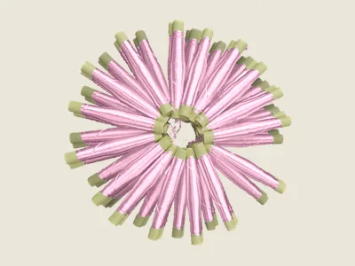 صابرة غوز كاشف
