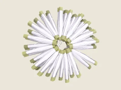 صابرة أبيض (8)