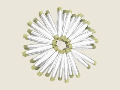 صابرة ابيض الشمش