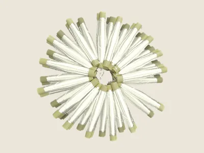 صابرة أبيض (2)