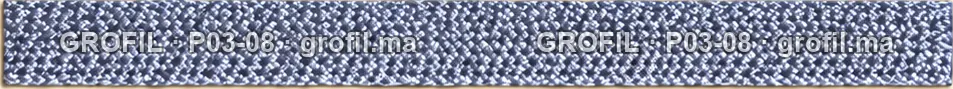 Sfifa sur commande, modèle P03-08