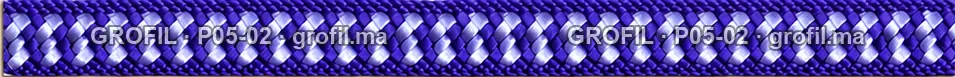 Sfifa sur commande, modèle P05-02