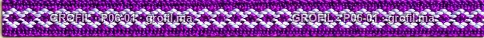 Sfifa sur commande, modèle P06-01