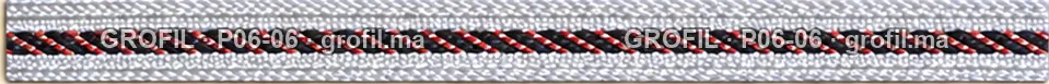 Sfifa sur commande, modèle P06-06