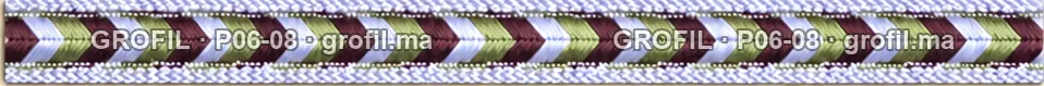 Sfifa sur commande, modèle P06-08